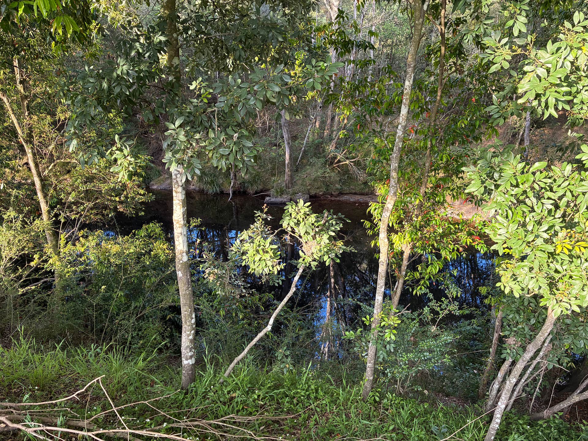 Willowbank