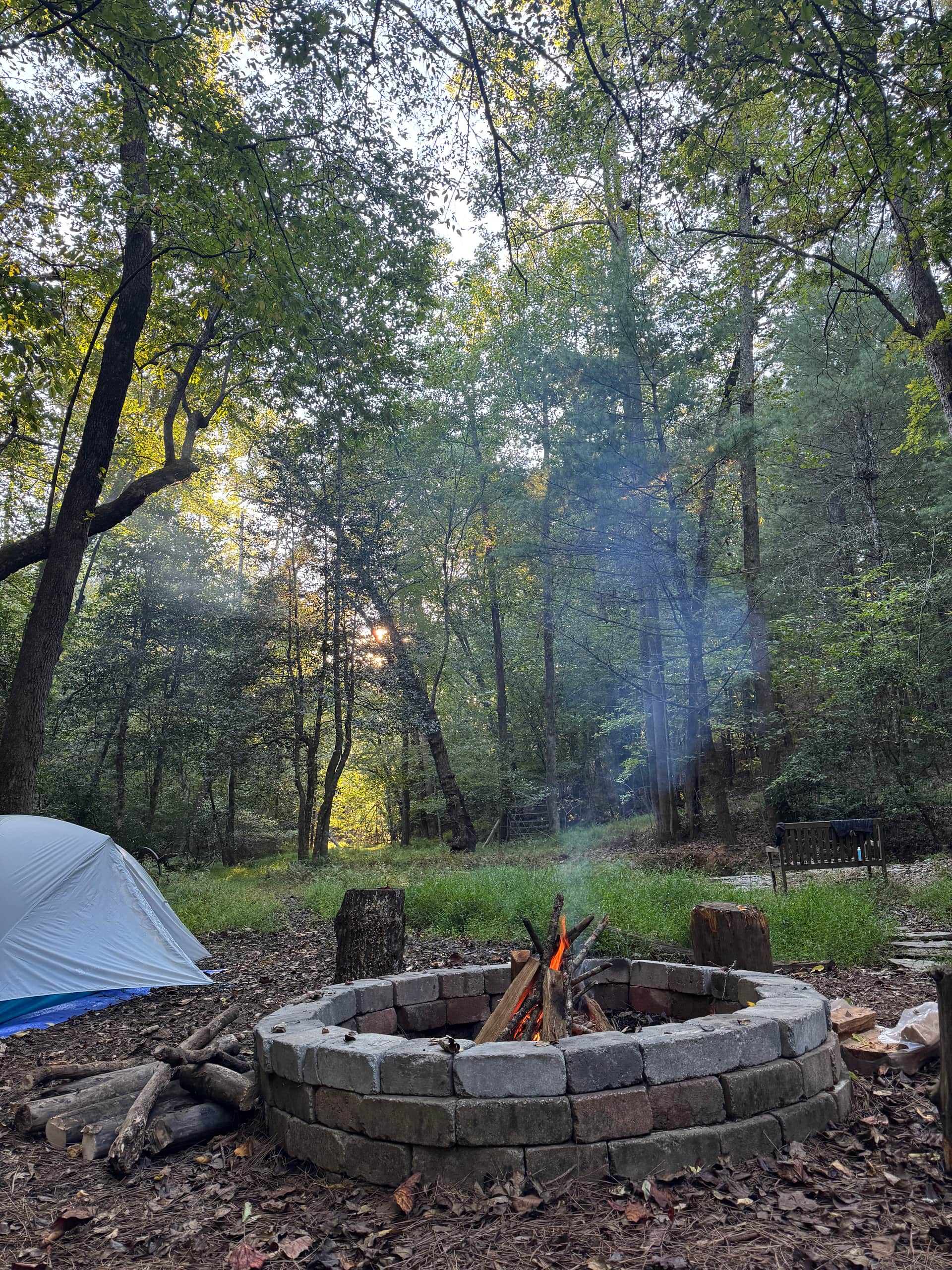 Your Toccoa River Cove!