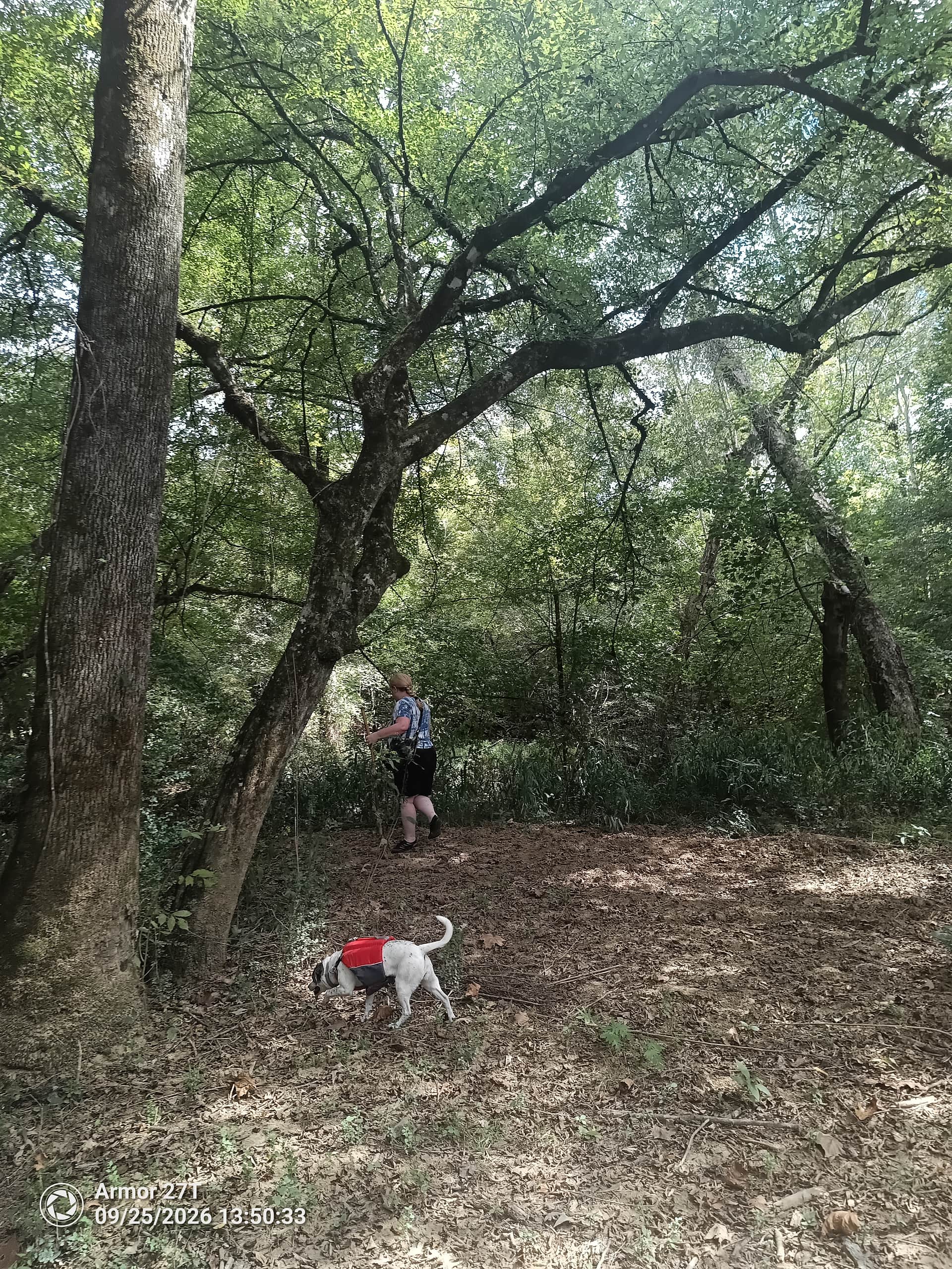 Bug Tussle Creek Bend