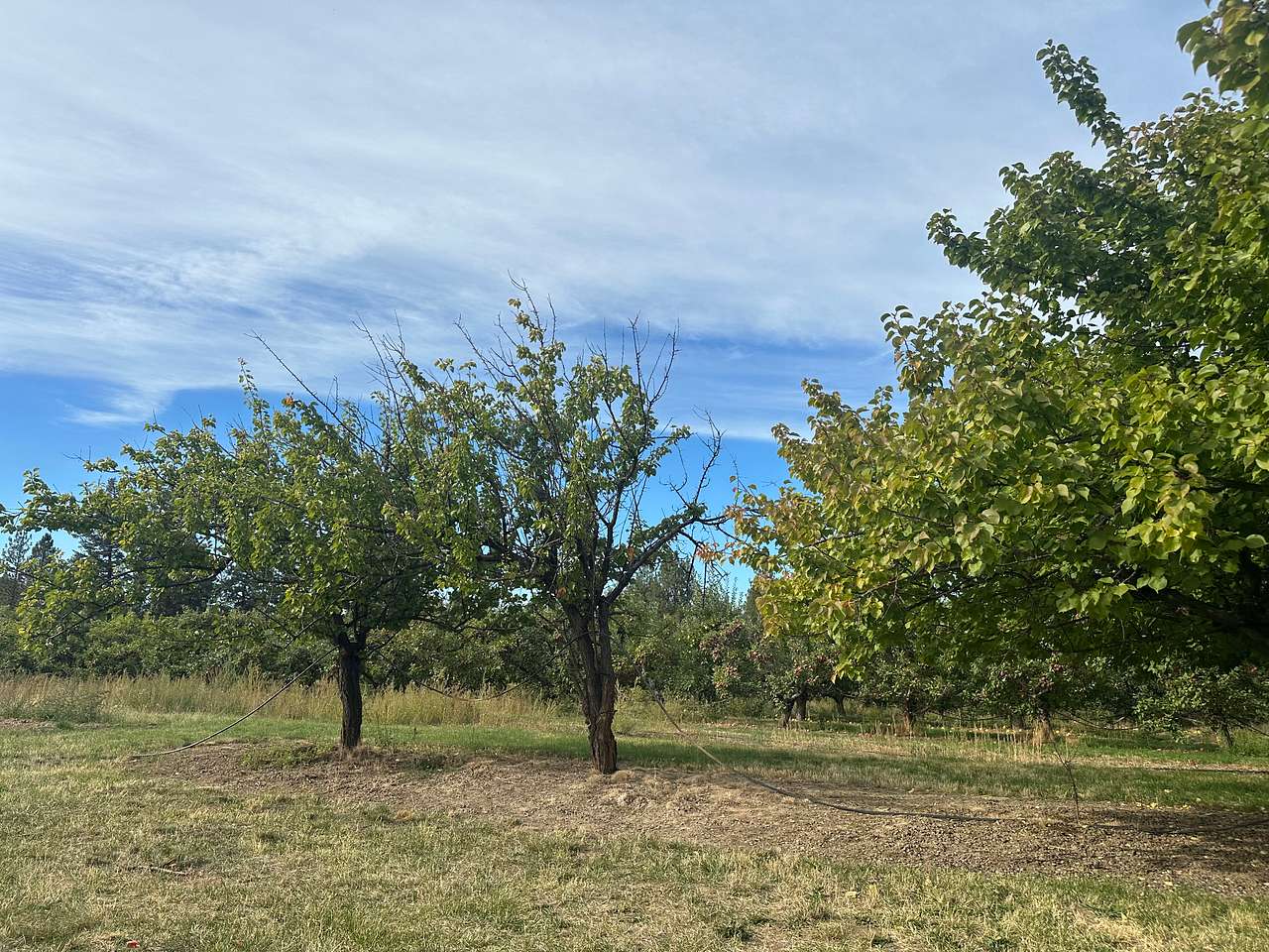 Hidden Acres Orchards