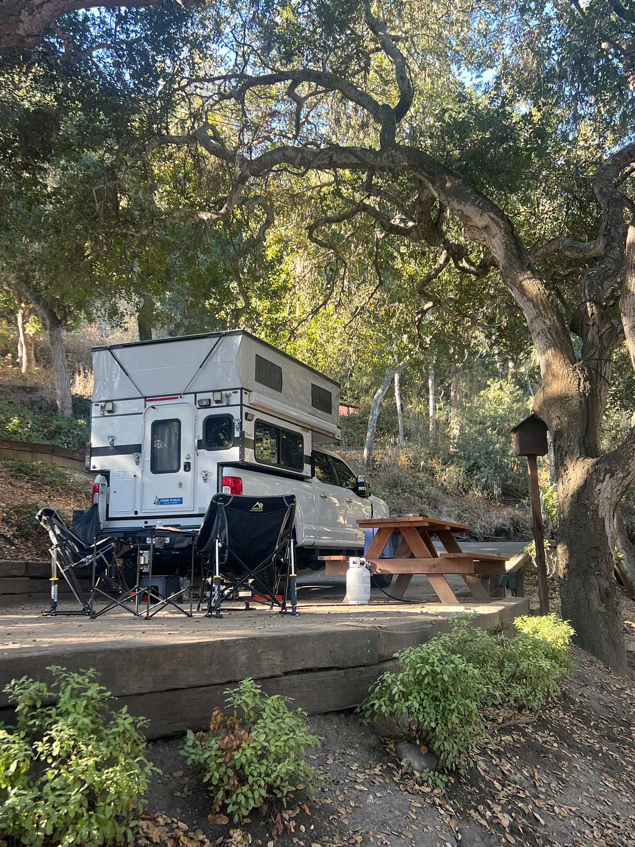 Saddle Mountain Carmel
