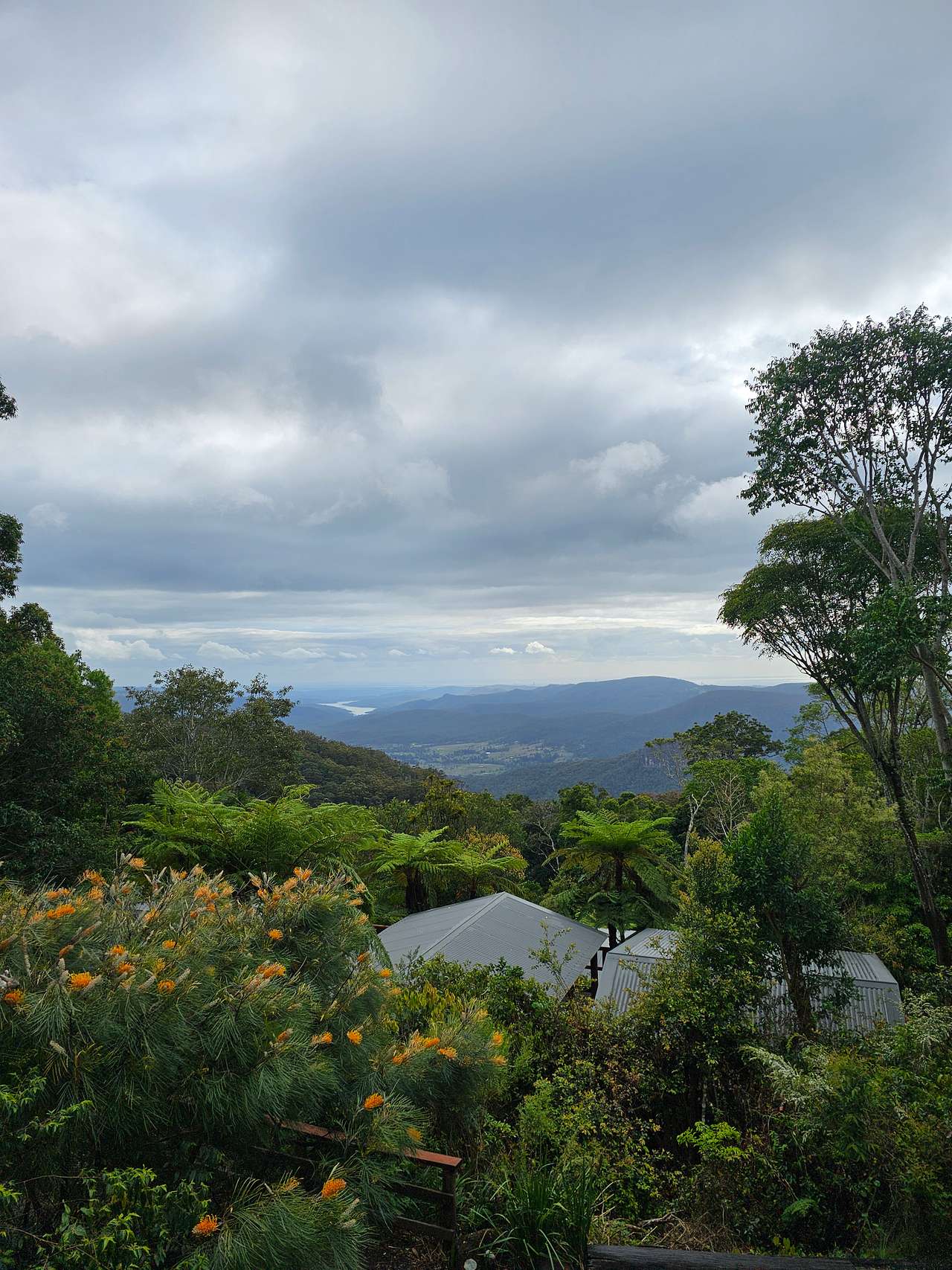 Binna Burra Lodge