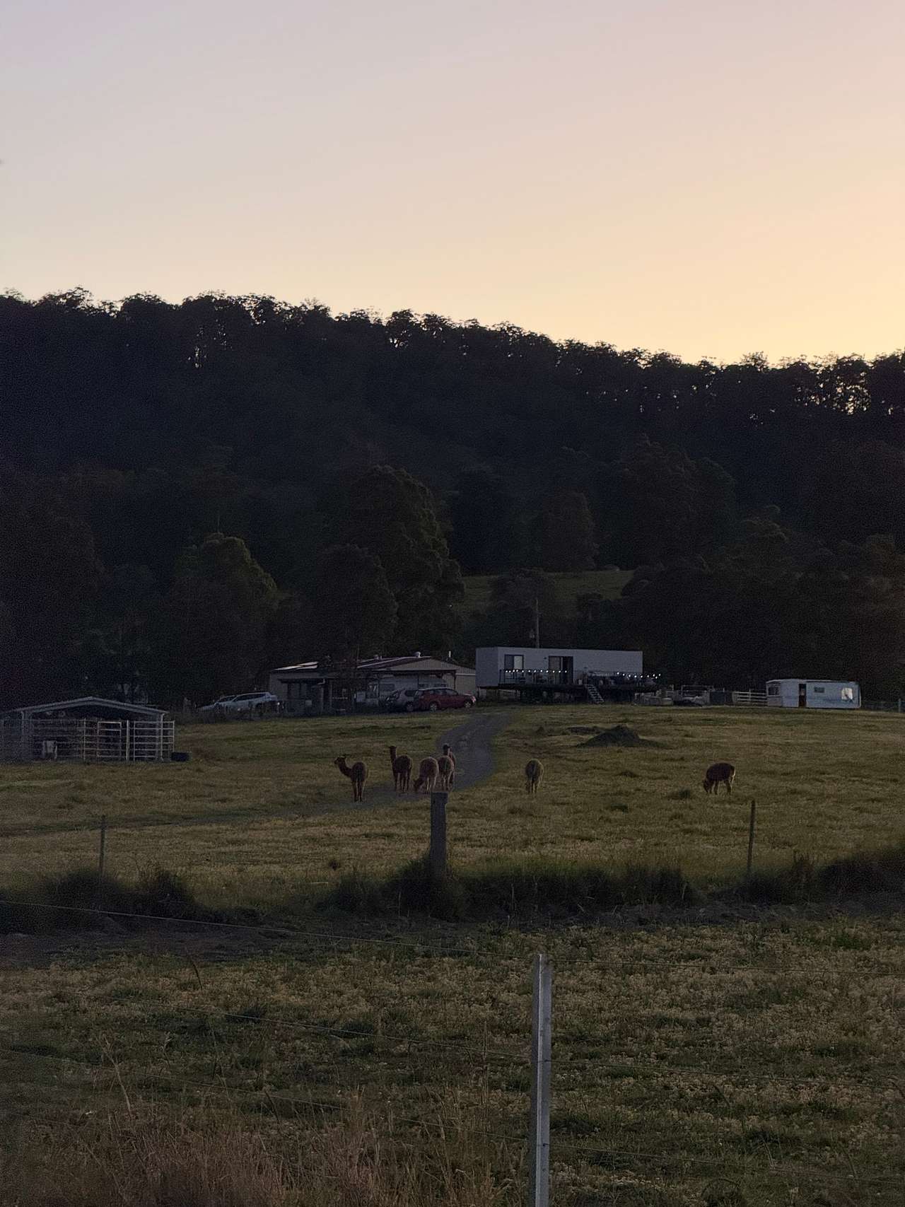 Luckystars Sanctuary