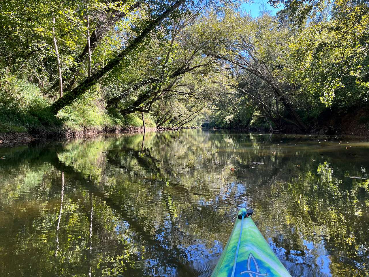 Paddling down river