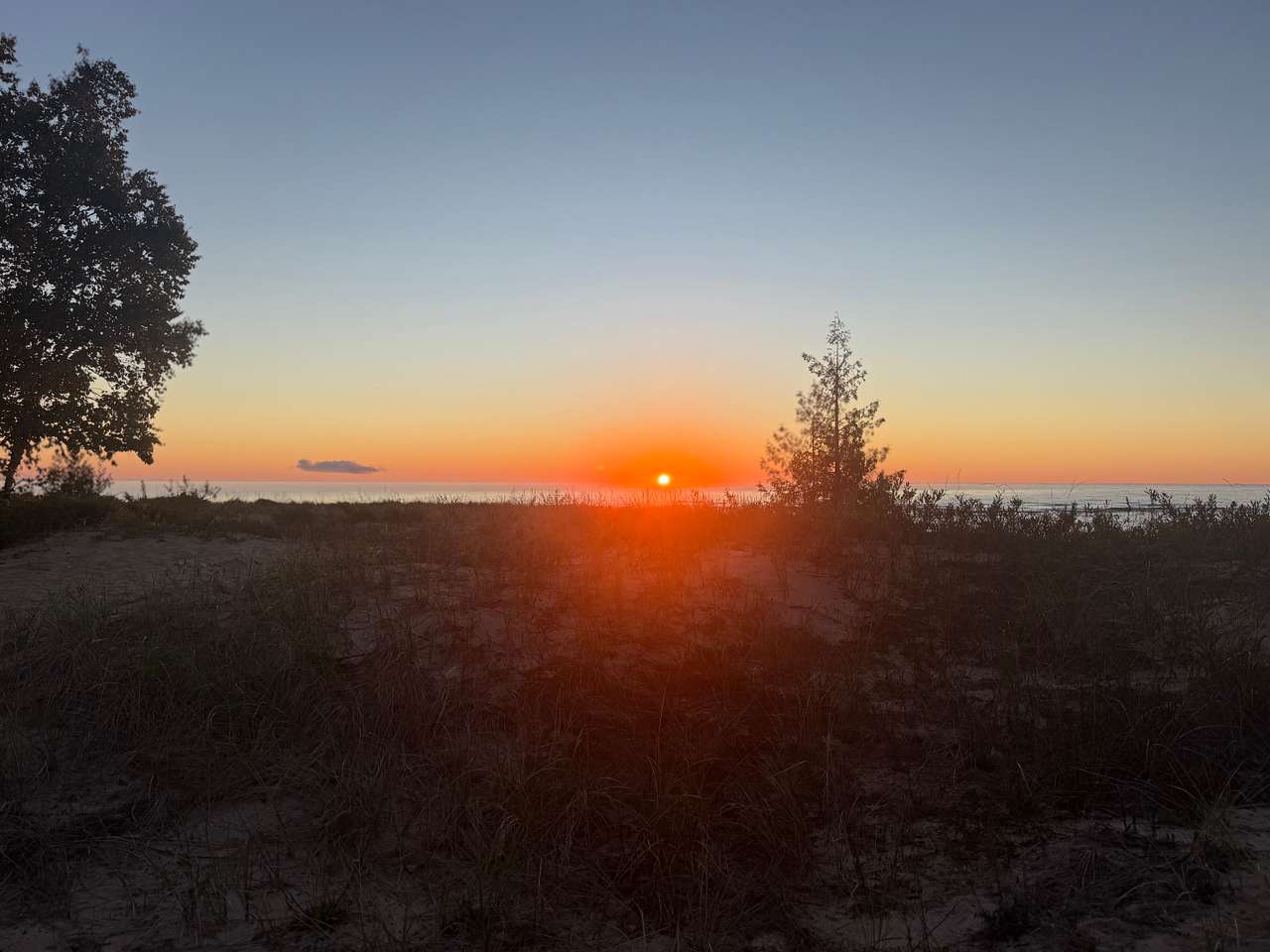 Pinecone Beach