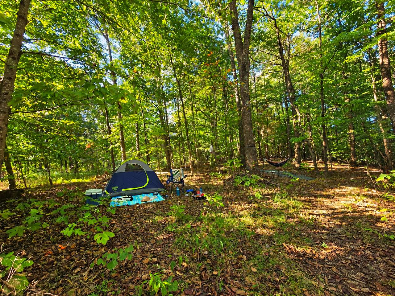 Picture of the site