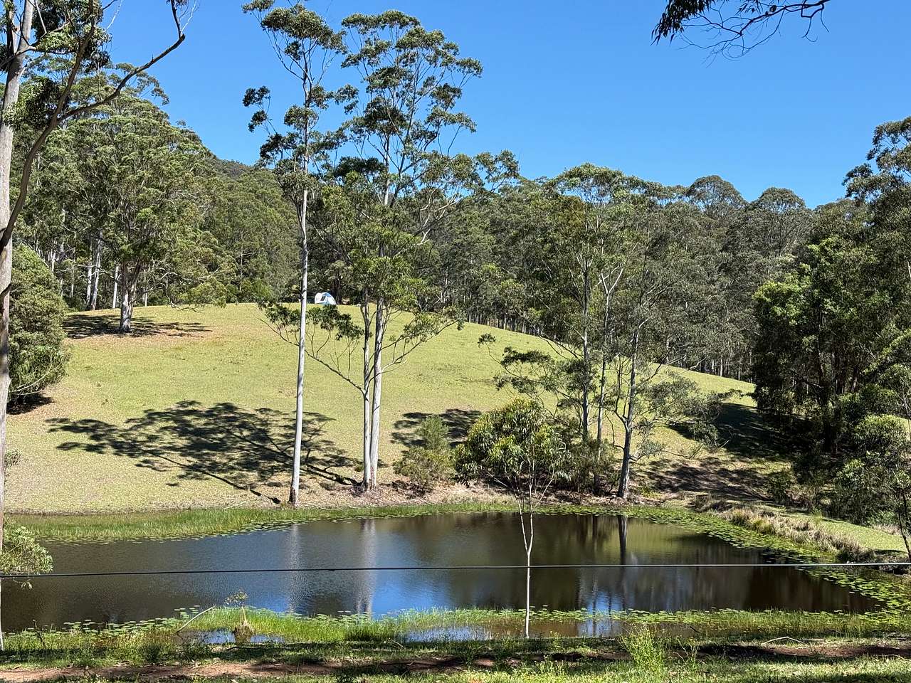 Wootton Arabian Stud Farmstay