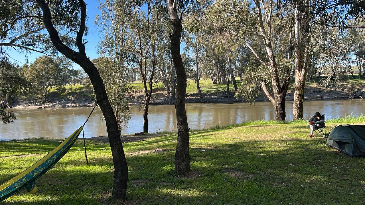 Palm Cove On The Murrumbidgee