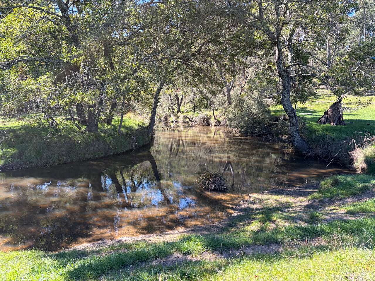 Aroona Park