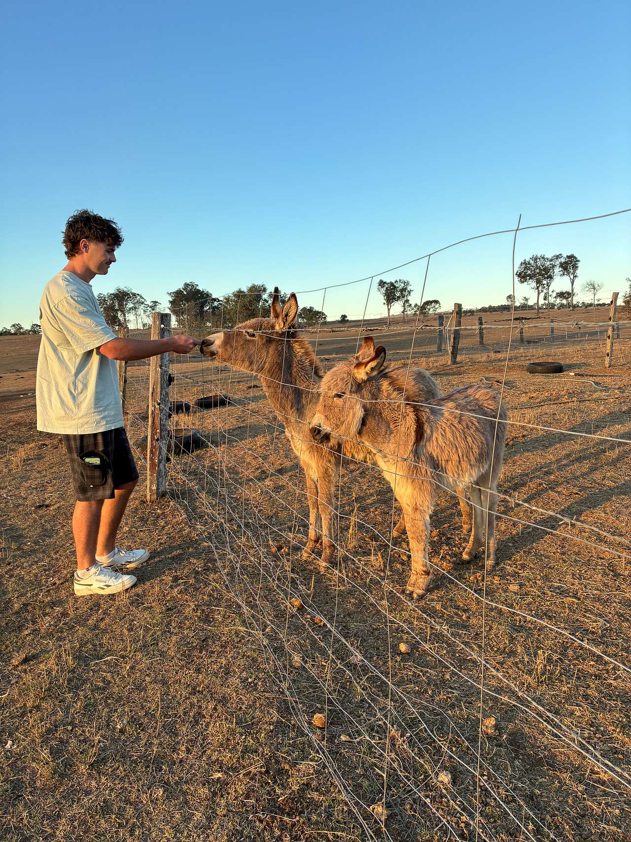 Adavale Farm experience