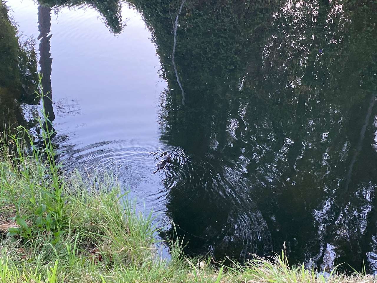 Riverside Burrum Heads