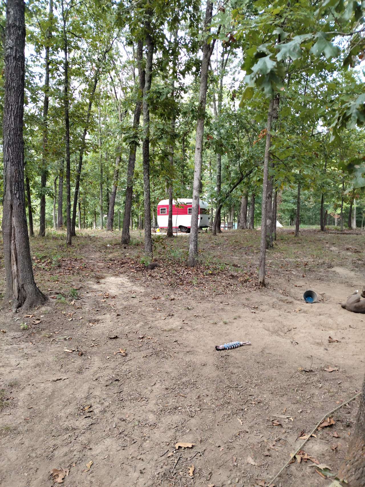 Hawks Bluff Farm Campground