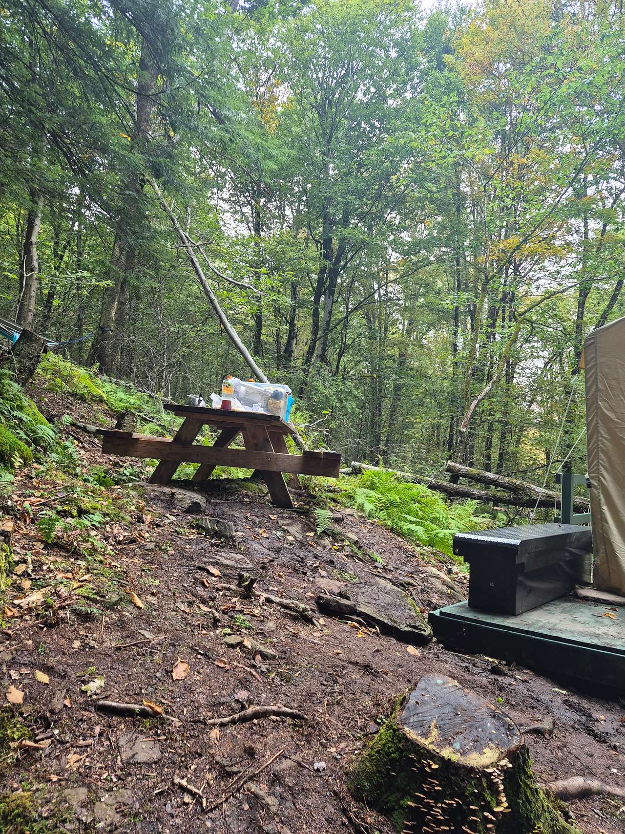 Mountainside Waterfall Retreat
