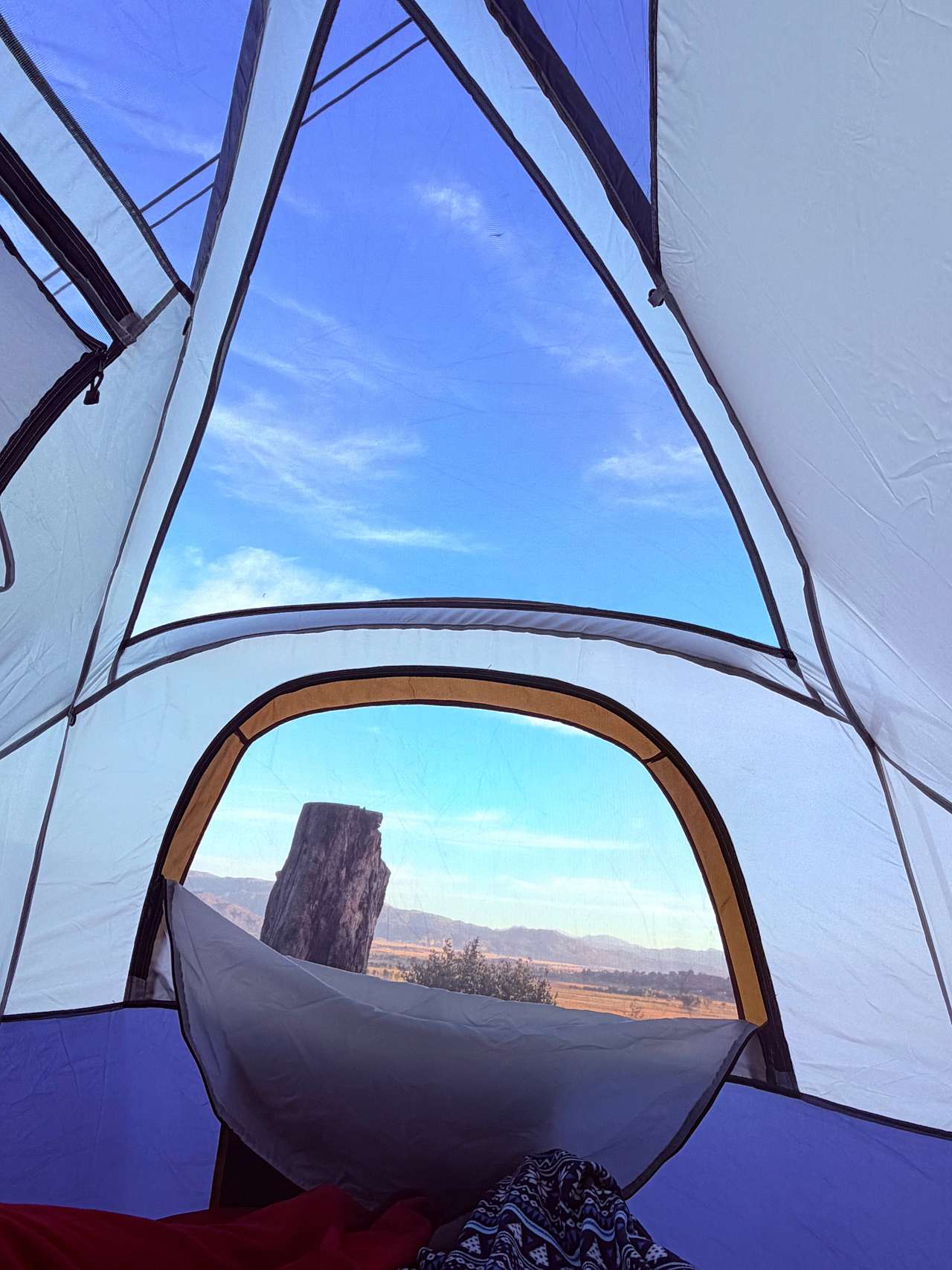 Morning views