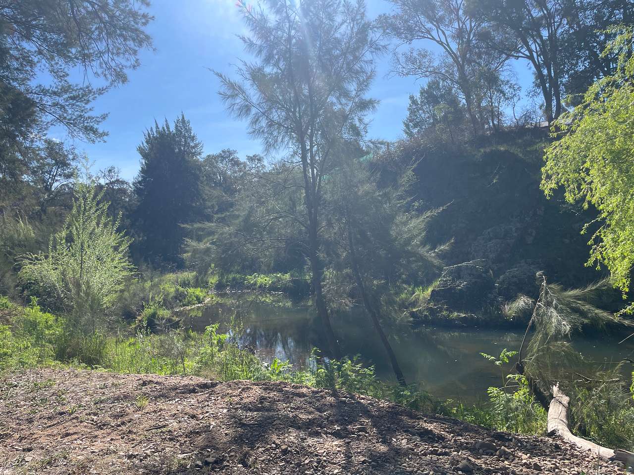 Picture of the site