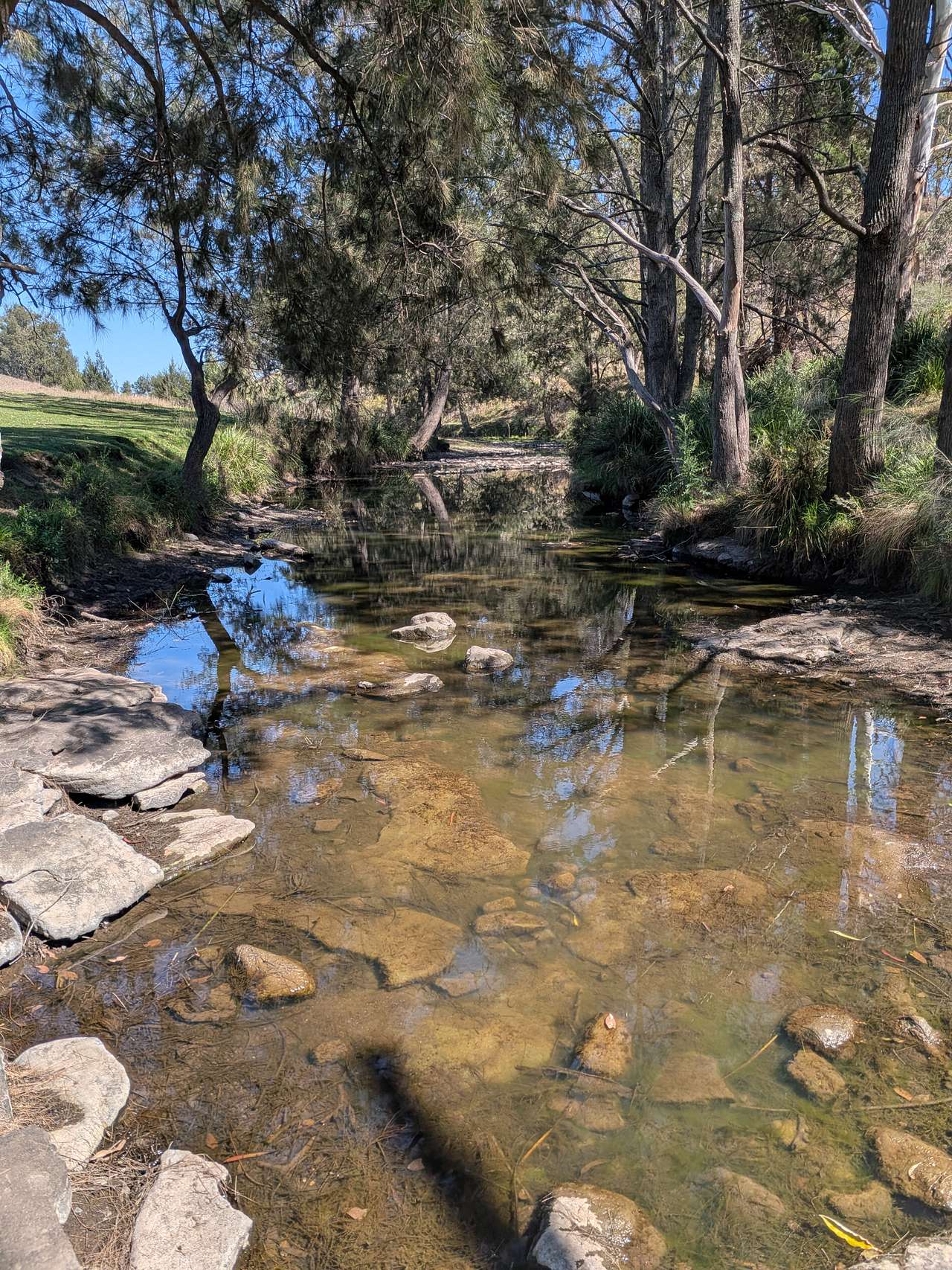 Millar Vale Creek Camping Innisfree
