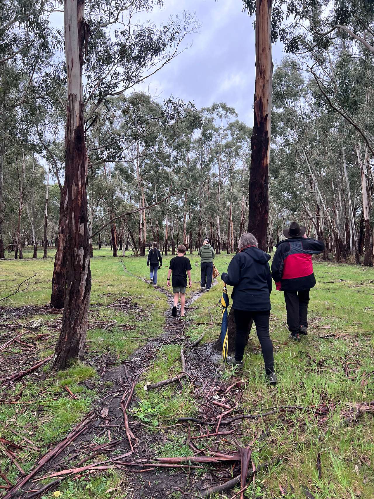 Options for walks around the property