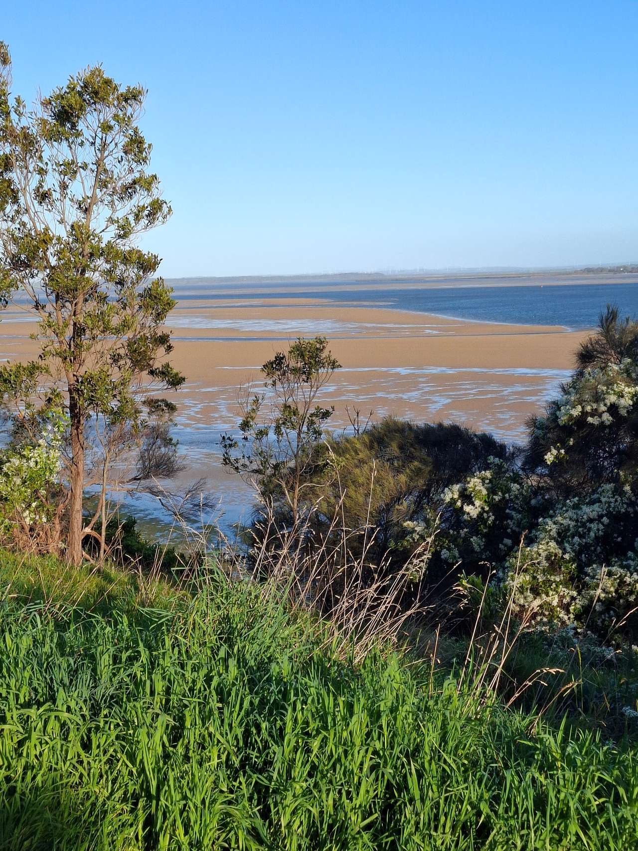 Screw Creek Nature Walk