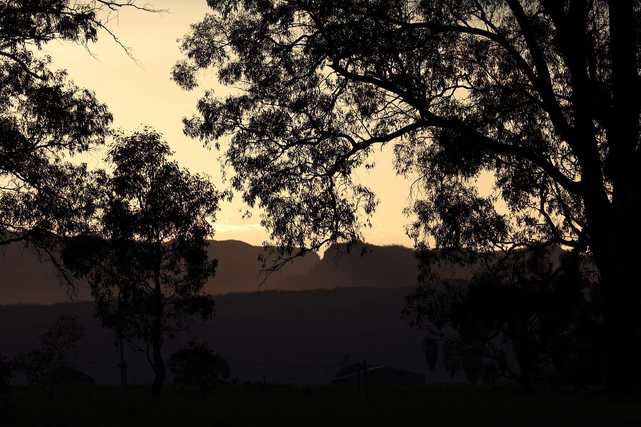 Grampians Stringybark Camp