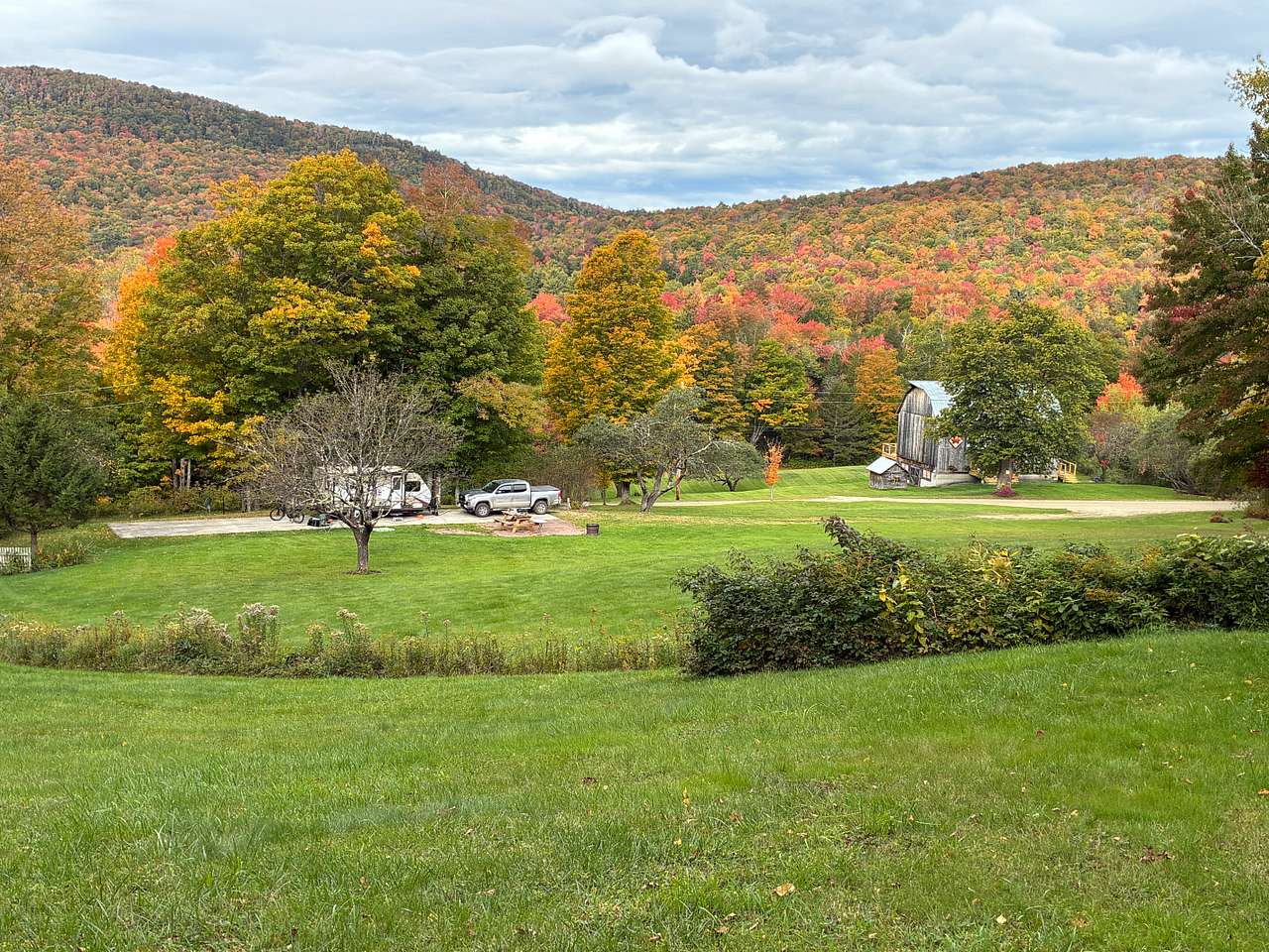 Golden Maple, Site #2