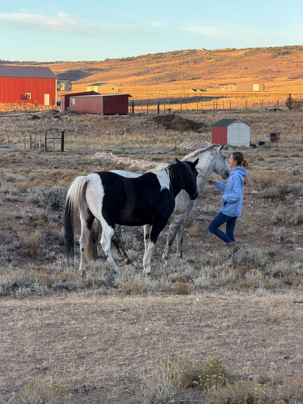 Little Space On The Prairie