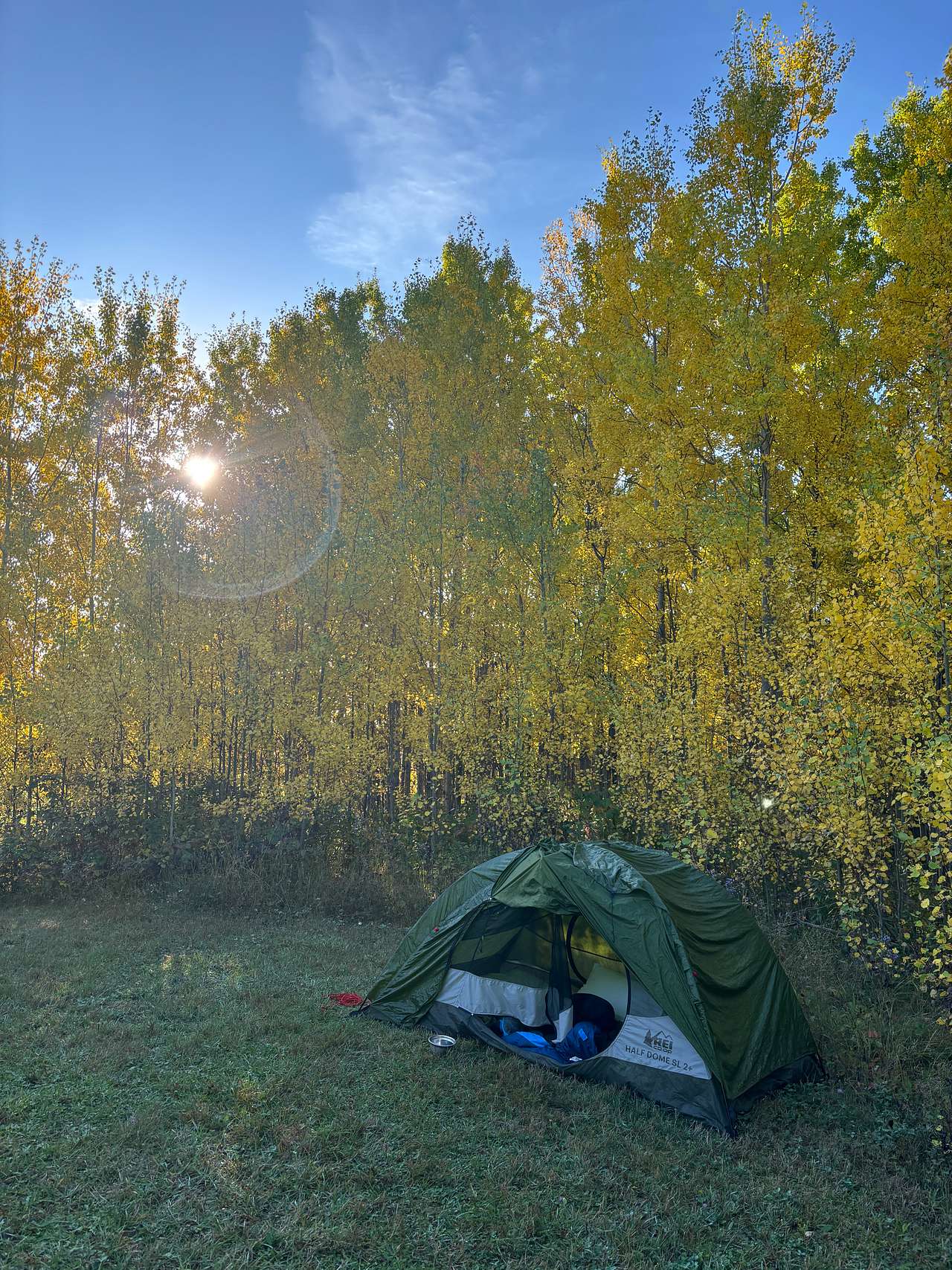 Hungry Hippie Hostel + Campground
