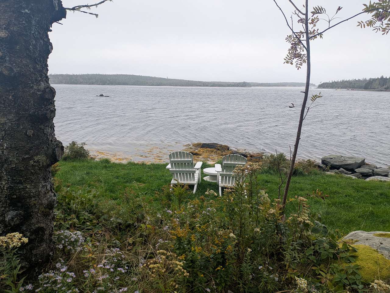 Bollong’s Point, Popes Harbour