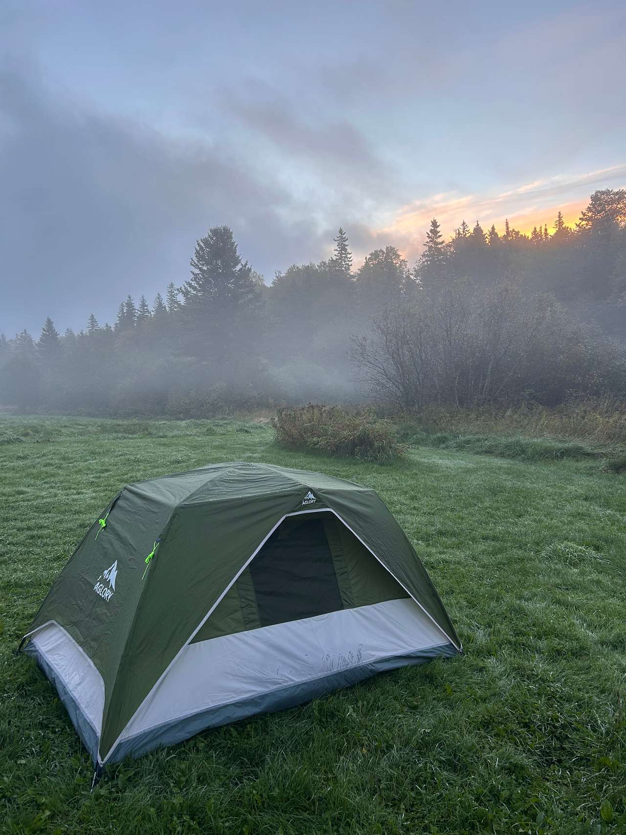 Morning mist