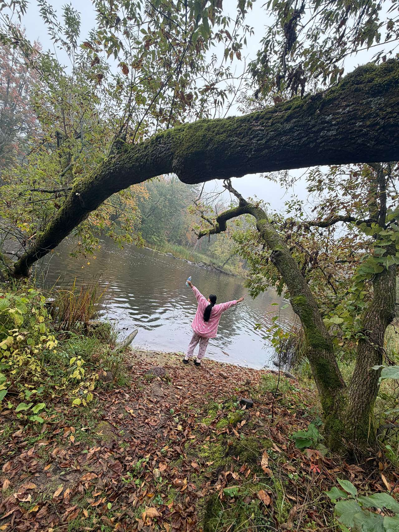 Riverside Roost