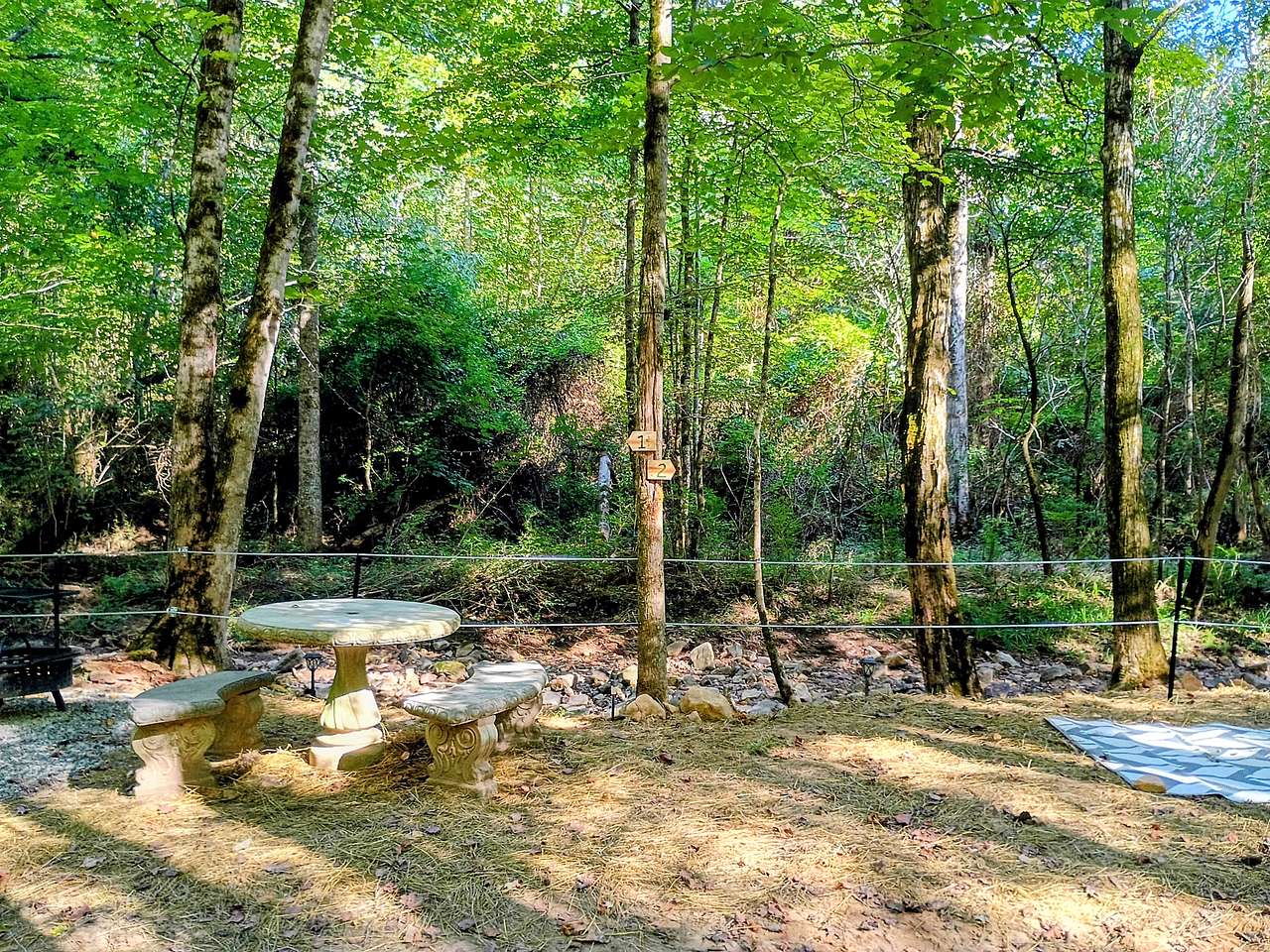 Picture of the site