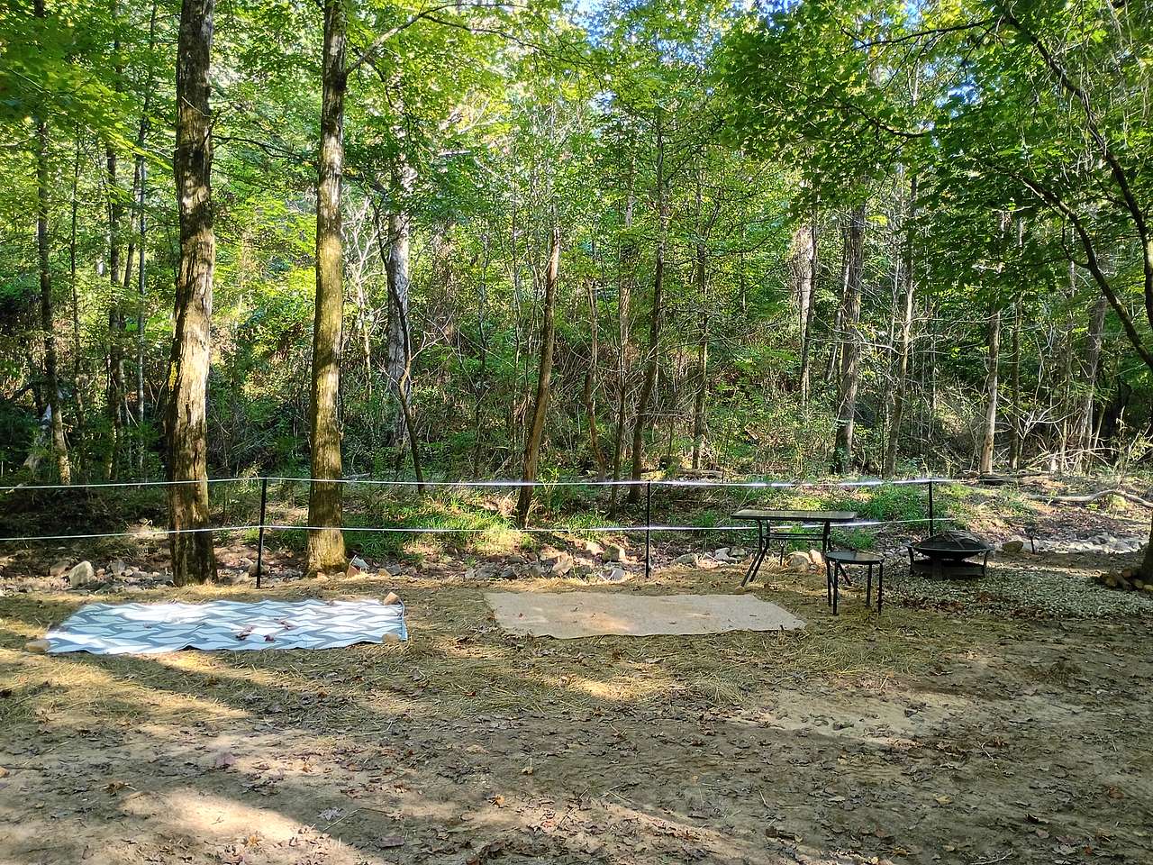 Picture of the site