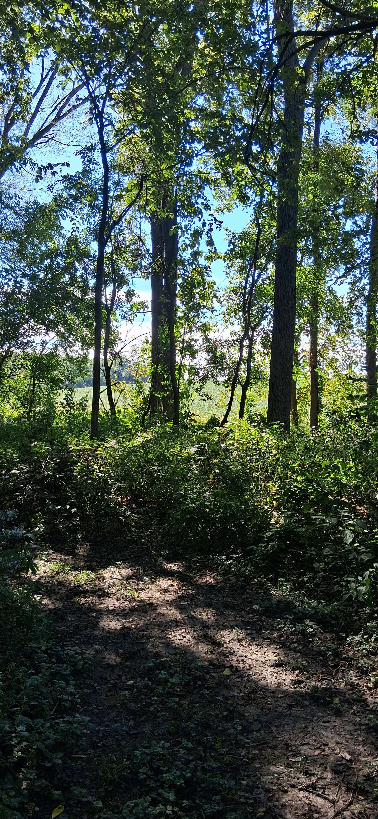 Pretty views on the trails