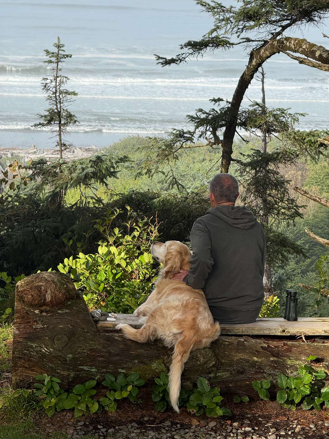 Aliya Preserve—WA Coast Eco-Retreat