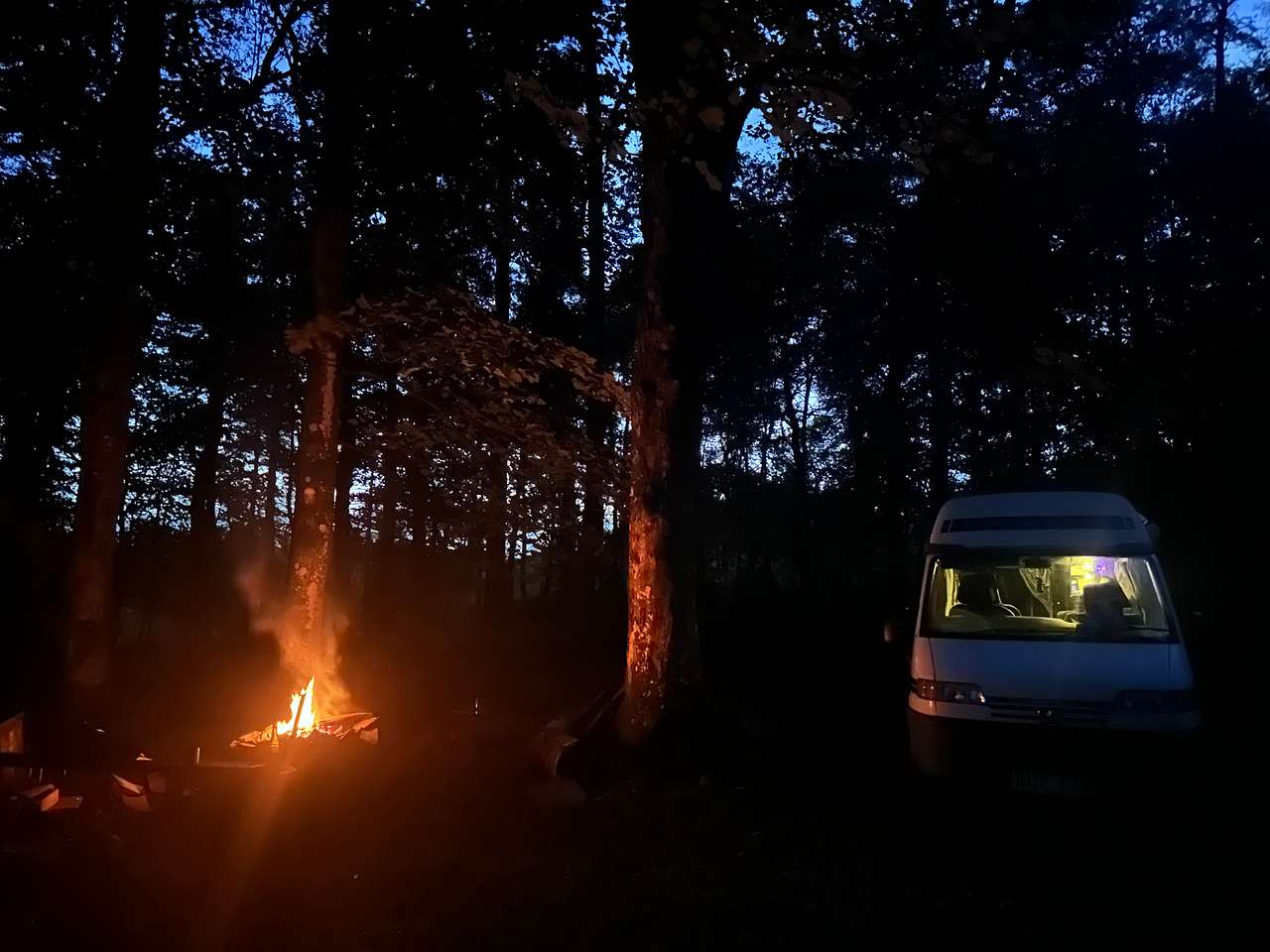 Troquhain Woods