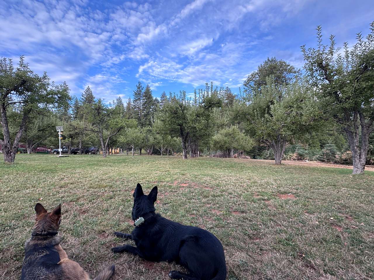 Harris Family Farm and Forest