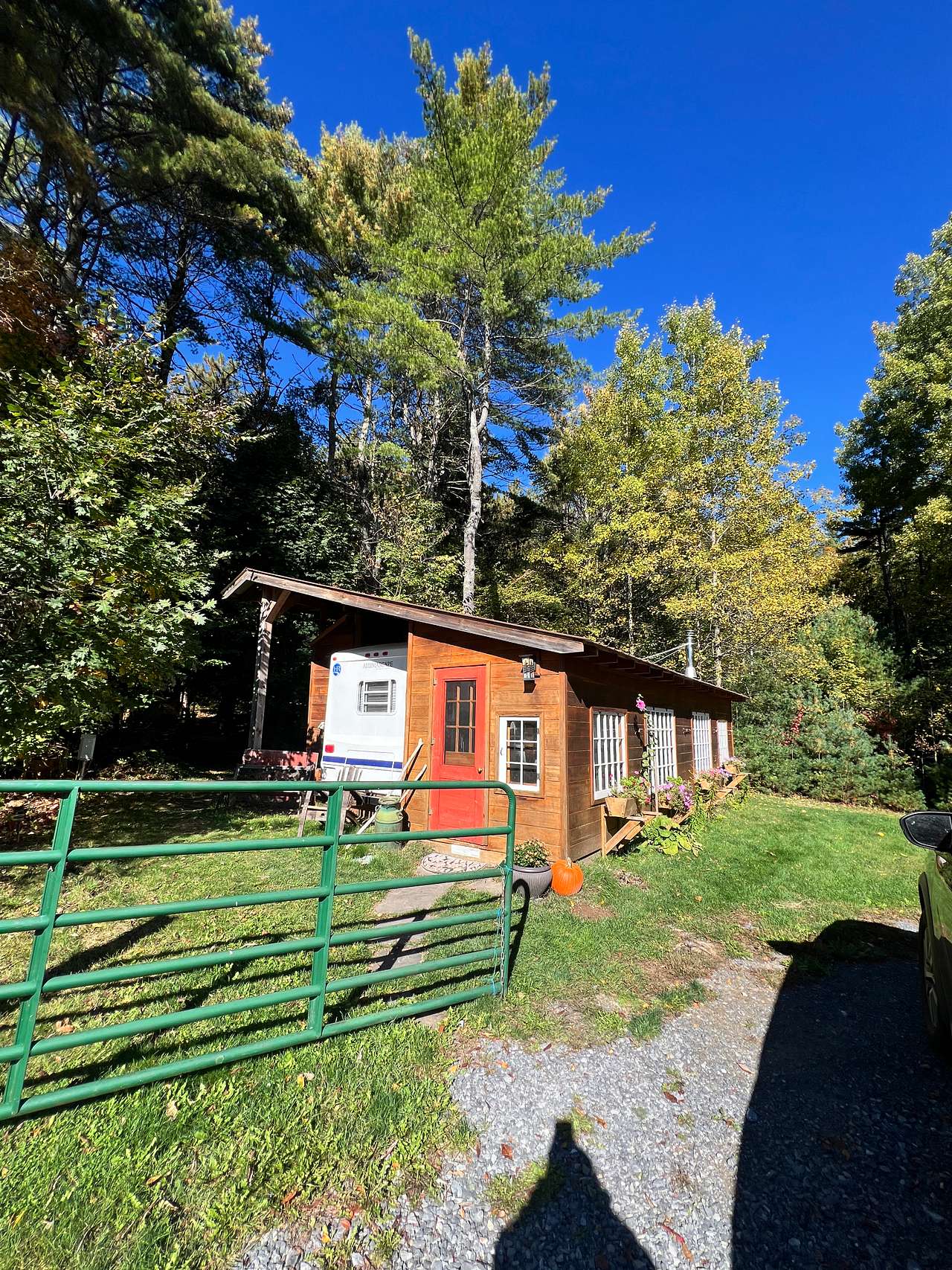 ADK Treehugger's Paradise