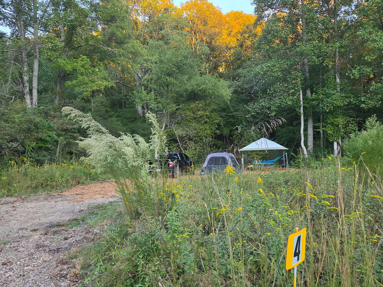 Site 4