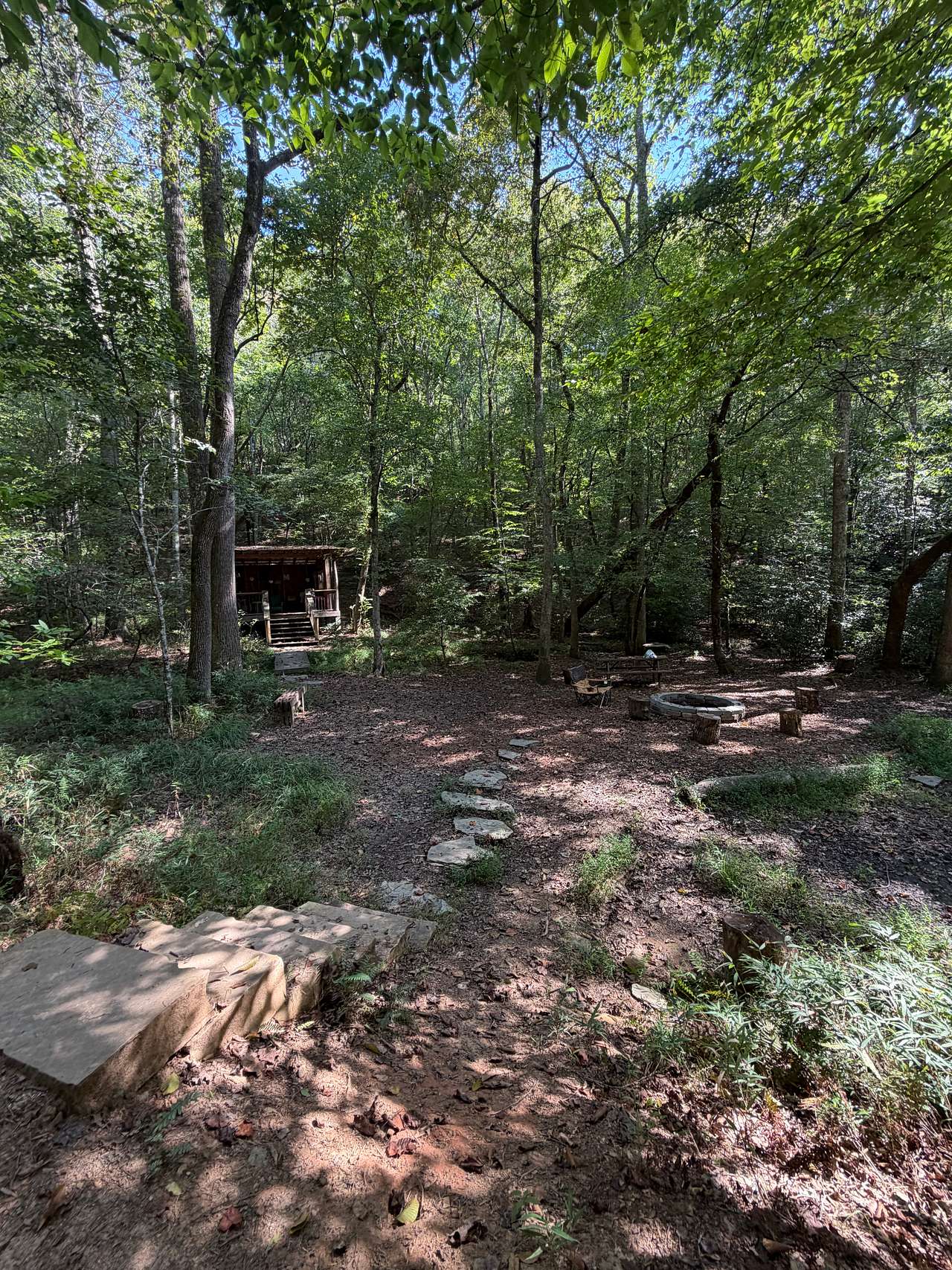 Your Toccoa River Cove!