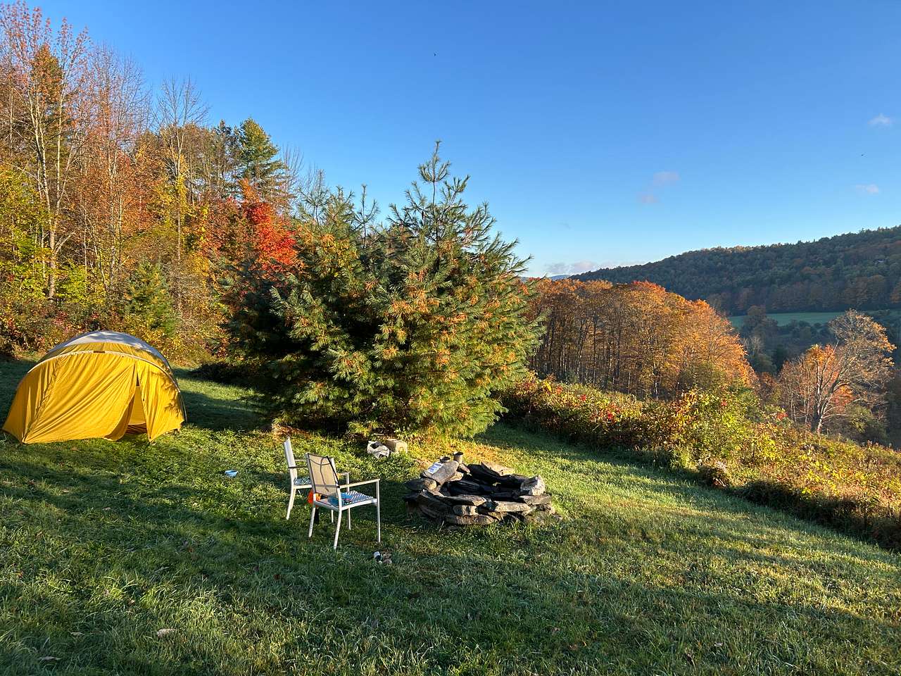 Wooded Farm Land