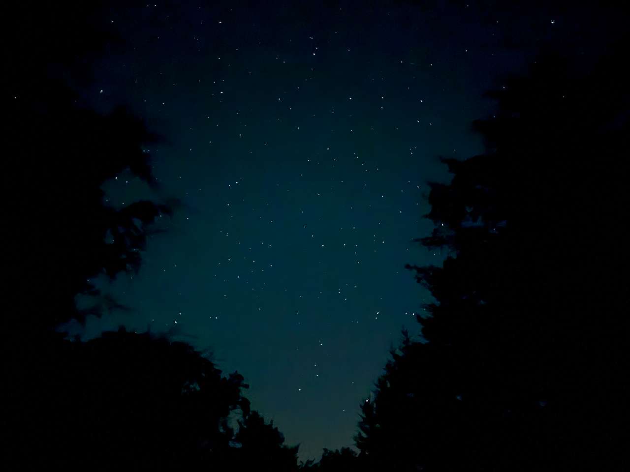 Sage Mountain Recreational Area MO