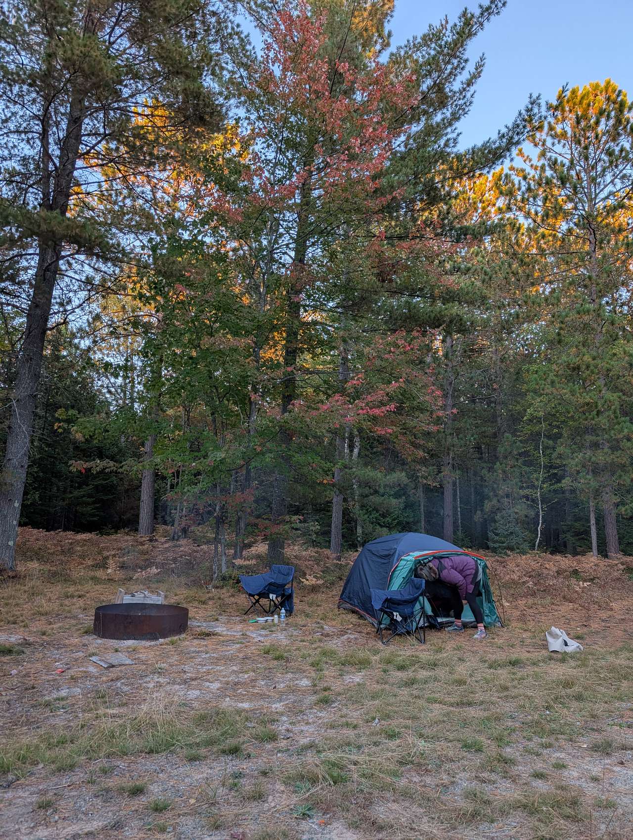 Blueberry fields campground