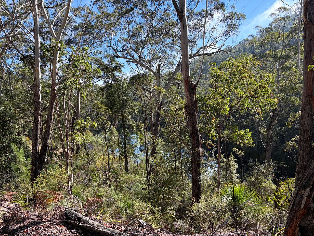 Canoelands Orchard Camping