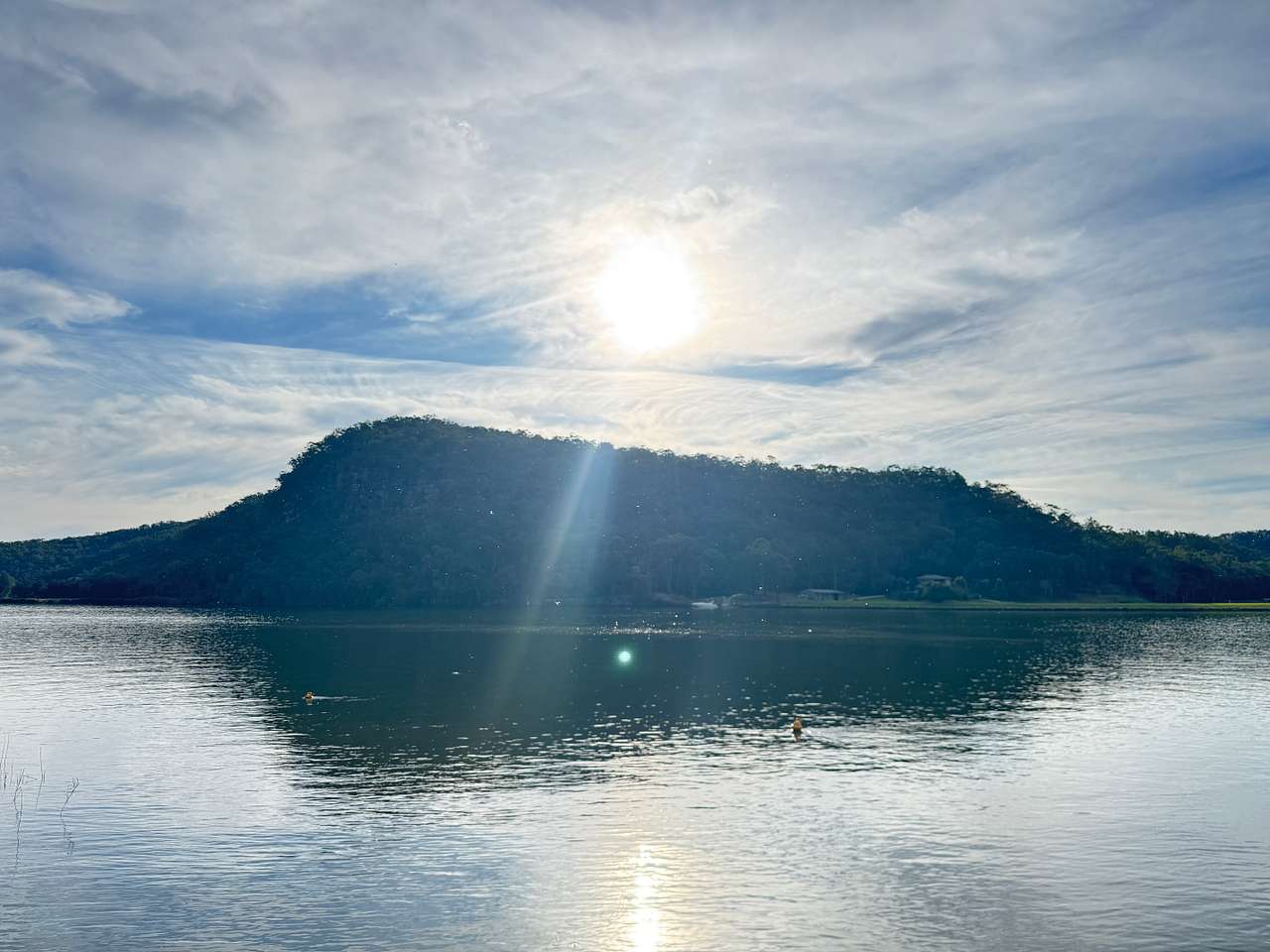 NSW Ski Gardens