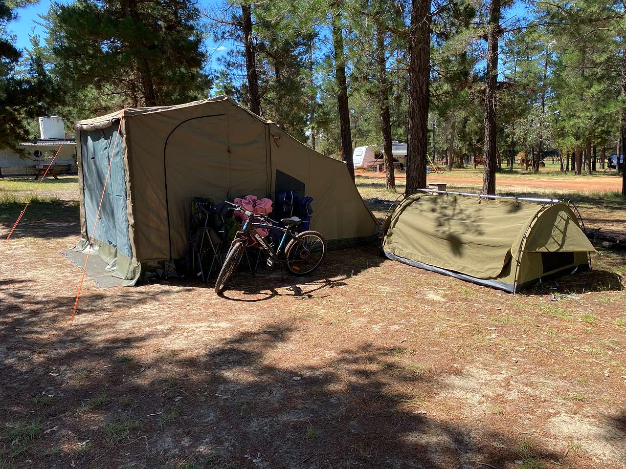 Site 40