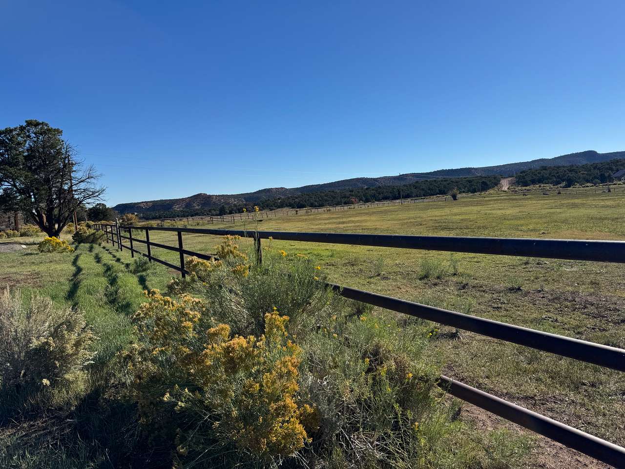 Road to the Sun Ranch