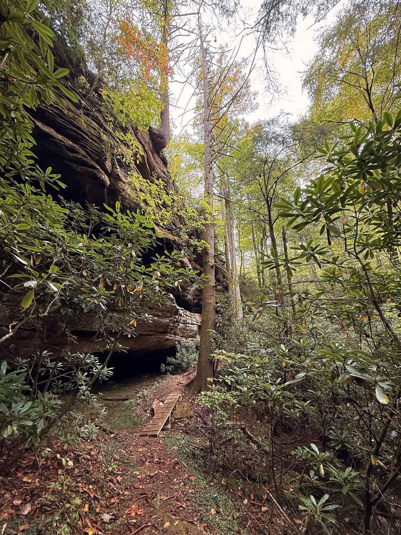 Big South Fork 