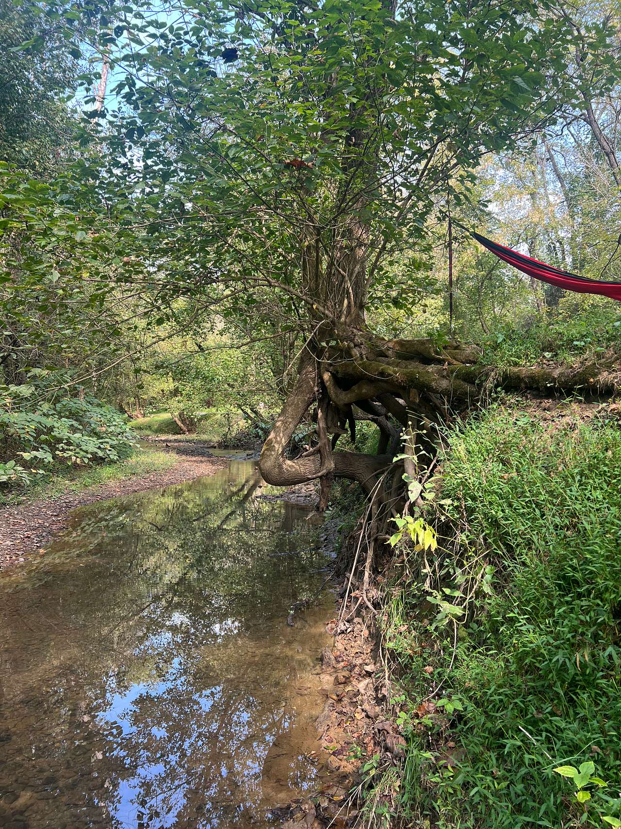 Out On The Creek Campground & RV