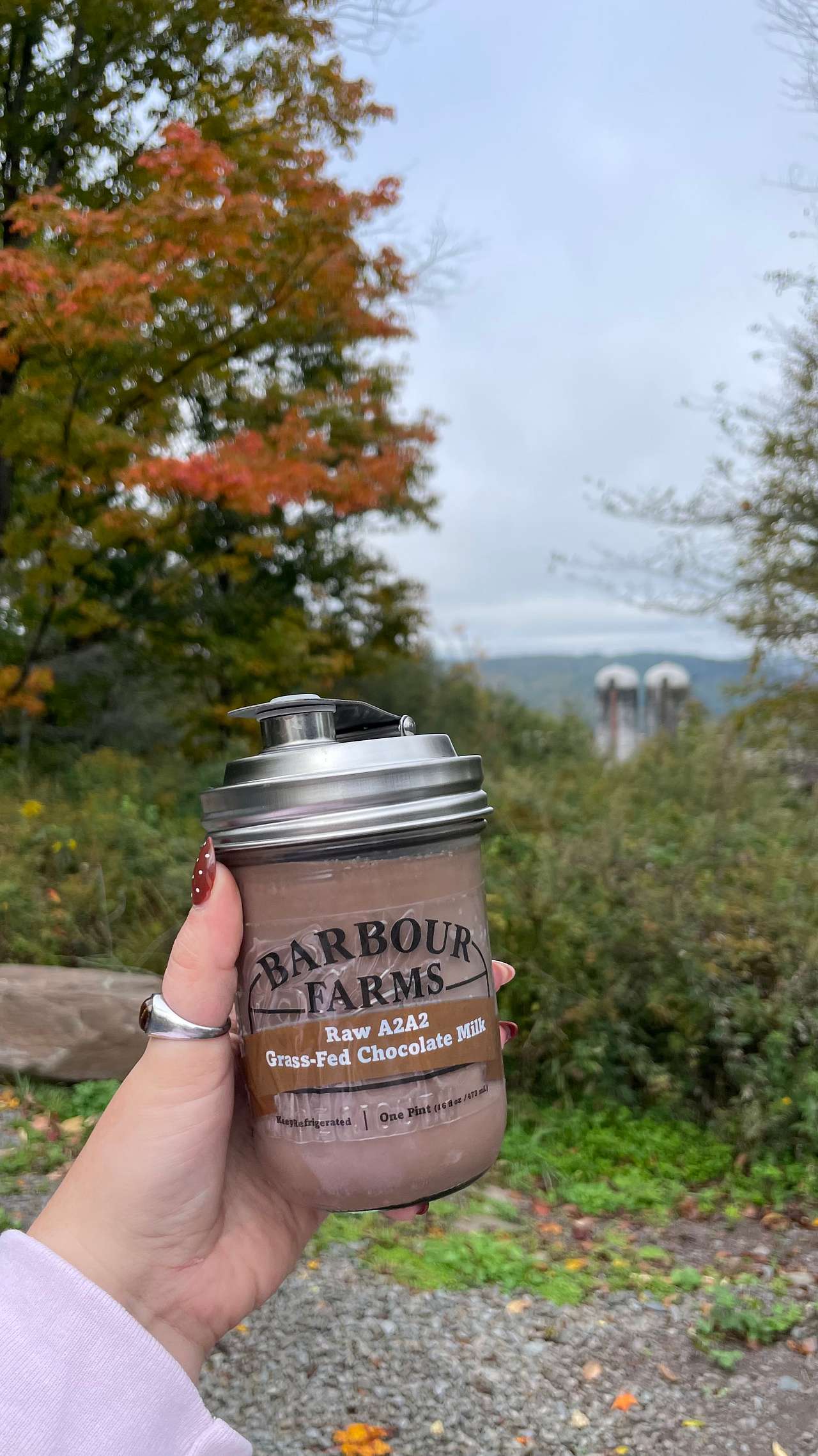 The chocolate milk was a must, they even have tops available for easy sipping :) 