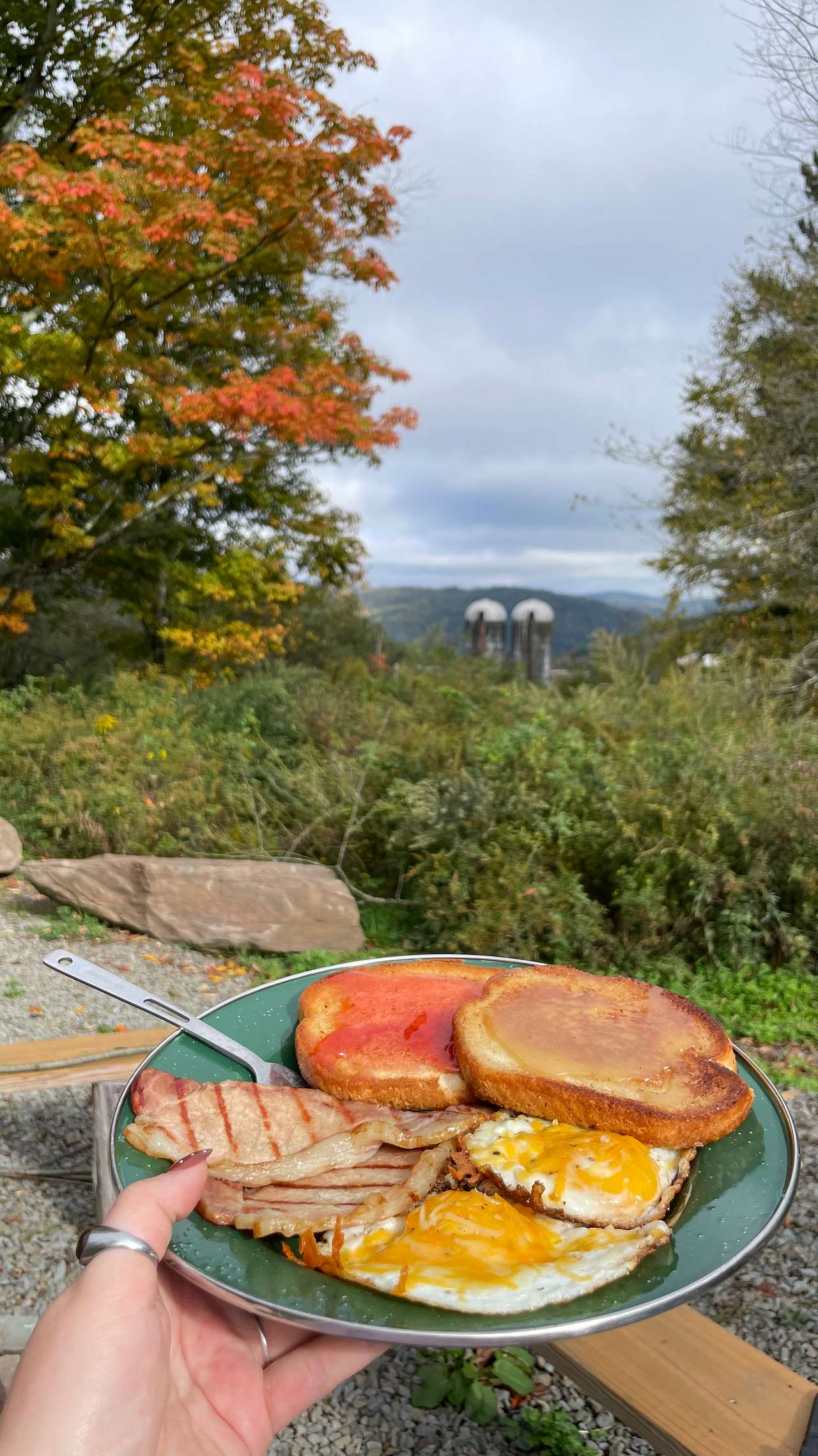 Fresh eggs and canadian bacon