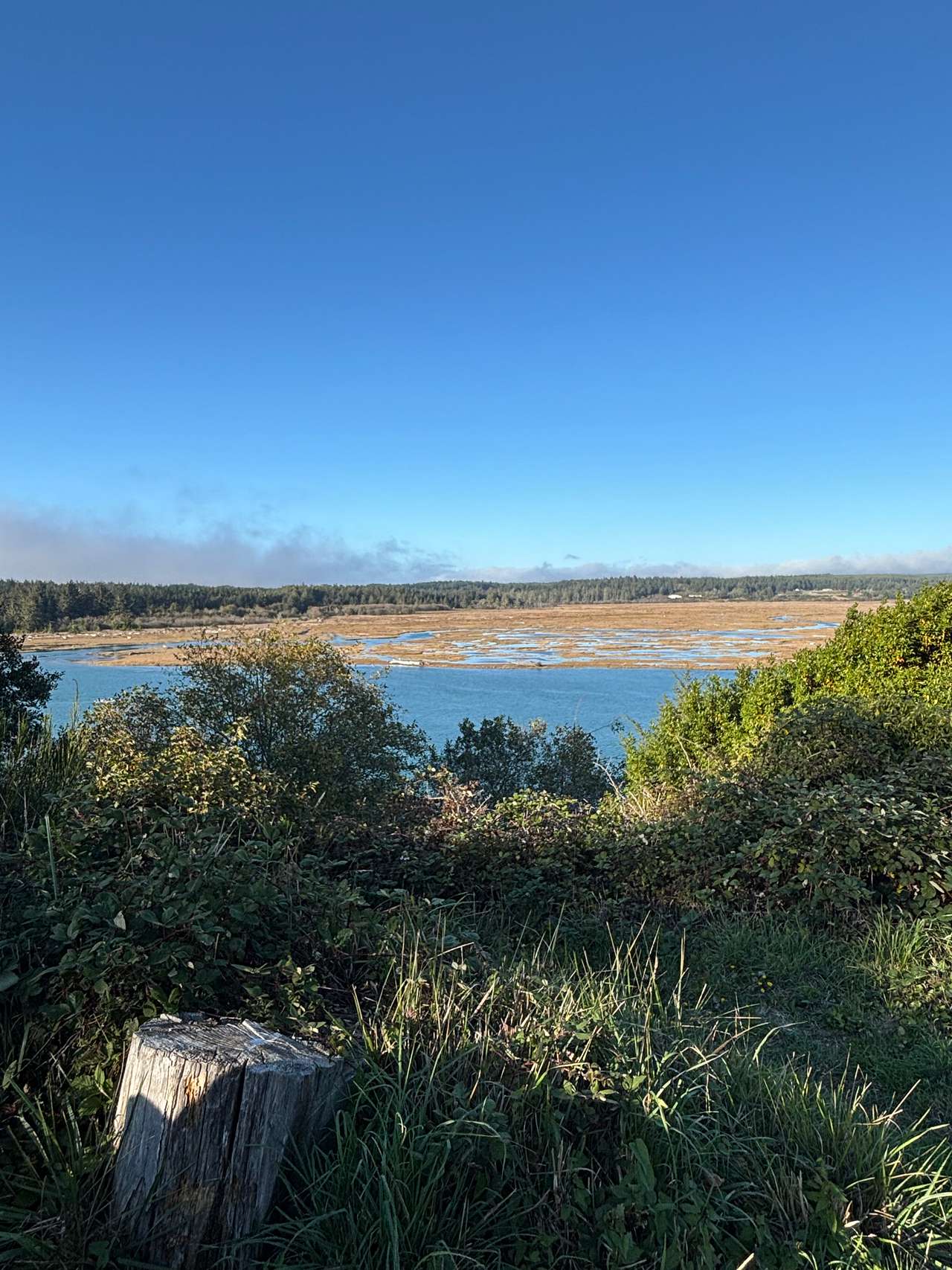View from bluff